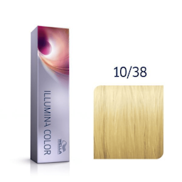 Illumina Color 10/38