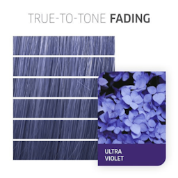 Color Fresh Create Ultra Purple