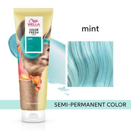 Color Fresh Masque Mint