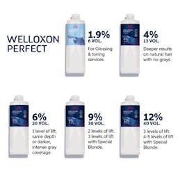 Welloxon Perfect 1,9% 500ml